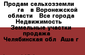 Продам сельхозземли ( 6 000 га ) в Воронежской области - Все города Недвижимость » Земельные участки продажа   . Челябинская обл.,Аша г.